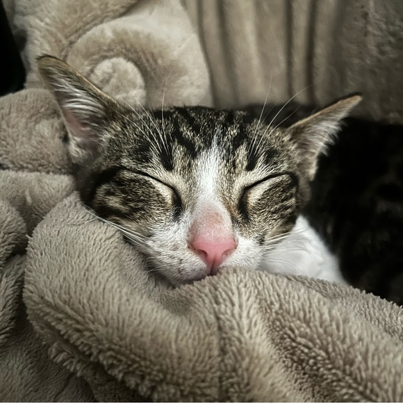 Hi, I’m Kristen. Welcome To POSHSTREETLUXE! - Picture 5 of 13